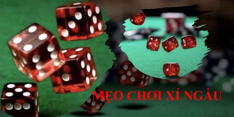 Xí Ngầu Là Gì Và Cách Chơi Cơ Bản